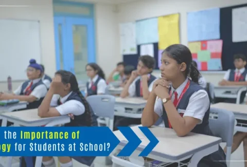 What is the Importance of Sociology for Students at School