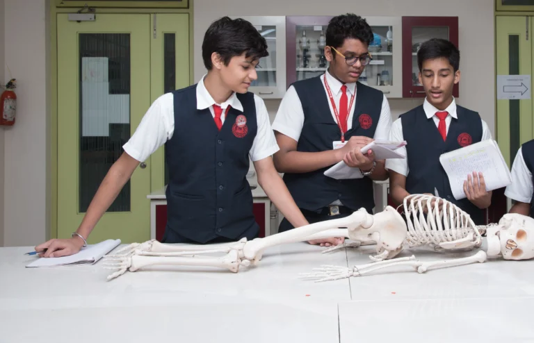 Three students at Panbai International School studying human bone structure with a skeleton model in the biology lab.